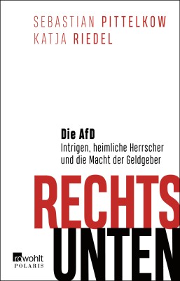 RechtsUnten-DieAfD.jpg