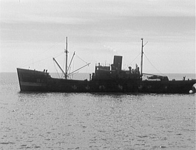 Yorikke (1).JPG