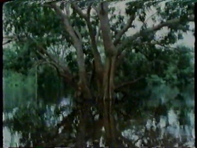 Diamantenbaum (7).jpg