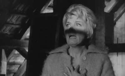 MadyRahlSpinne (5).png